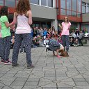 IMG_1344 - copie
